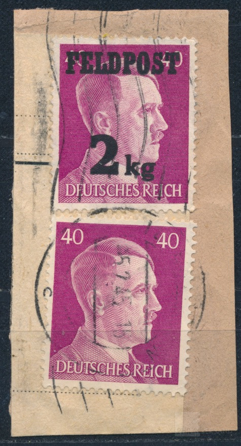 S19272
