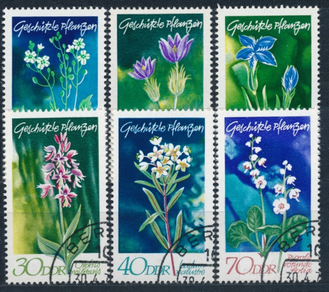 DD460a