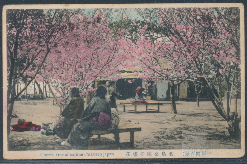 Kriegsgefangenenpost Lager Aonogahara 1917  | Michel-Nr. Aonagahara POW | Brief/Karte