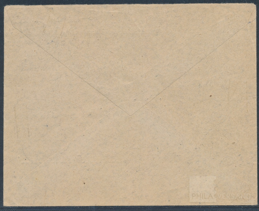 Basle to Frankfurt airmail 1920  | Michel-No. Handbuch RF 20czII | Cover/Card