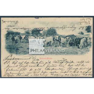 S28454
